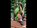 Video ini dibuat penuh oleh AI dan bersifat fiktif. Terima kasih telah menonton!
