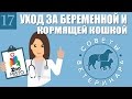 Уход за беременной и кормящей кошкой | Как правильно ухаживать за  кошкой | Советы Ветеринара