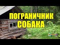 ВЕРНАЯ СОБАКА   ПОГРАНИЧНИК  ХОЗЯИН ПРЕДАЛ СОБАКУ