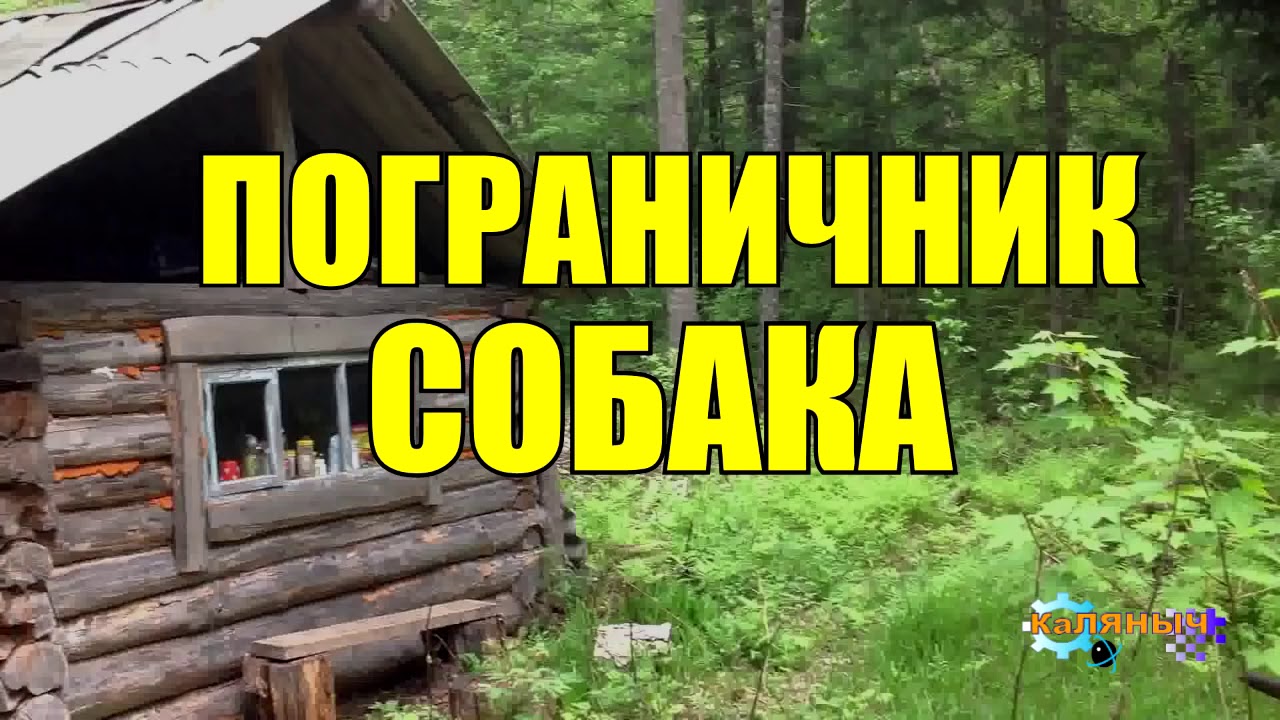 ВЕРНАЯ СОБАКА ПОГРАНИЧНИК ХОЗЯИН ПРЕДАЛ СОБАКУ - YouTube