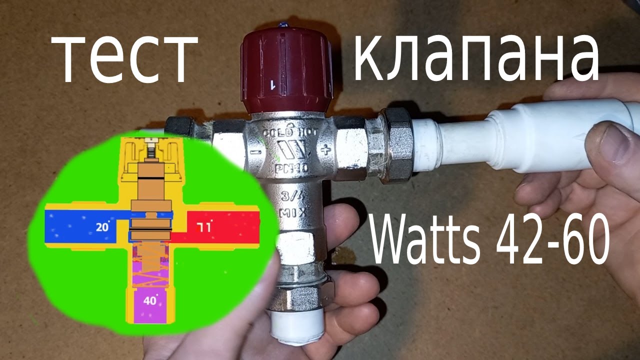 ватс видео. Watts zap 2017 картинки.