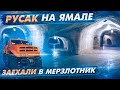 Русак на Ямале. Часть 8. Мерзлотник в Новом Порту, Обед в Мыс Каменный. Пурга закончилась – солнце!