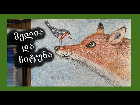 როგორ დავხატოთ მელია/როგორ დავხატოთ ჩიტი/მელაკუდას ხატვა