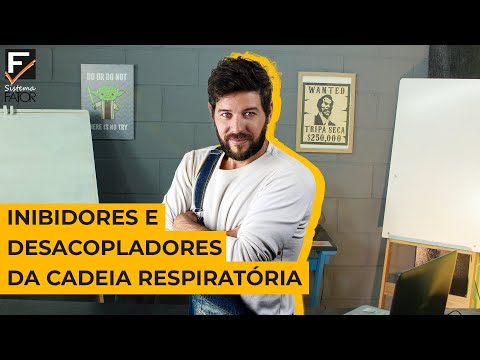 Vídeo: Tratamento De Células TH2 Estabelecidas Com 4μ8c, Um Inibidor Da IRE1α, Bloqueia A Secreção De IL-5, Mas Não A IL-4