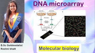 DNA Microarray in virtual lab