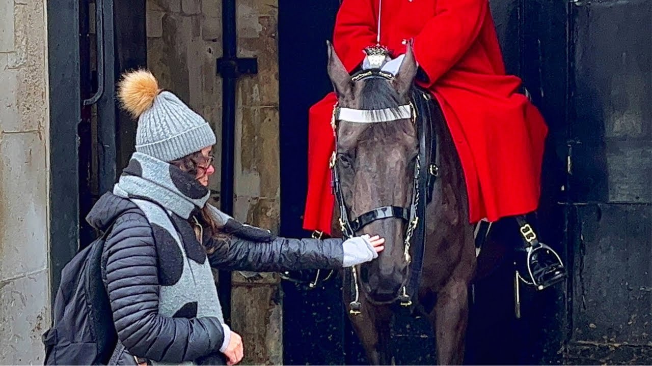 Kings Guard | She is in love with the horse too much #theroyalkingsguardengland