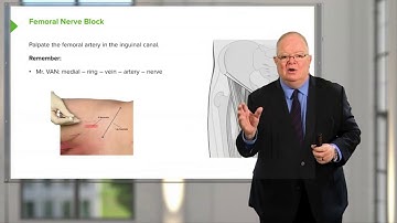 Lower Limb Blocks – Other Limb Blocks and Intravenous Regional Anesthesia