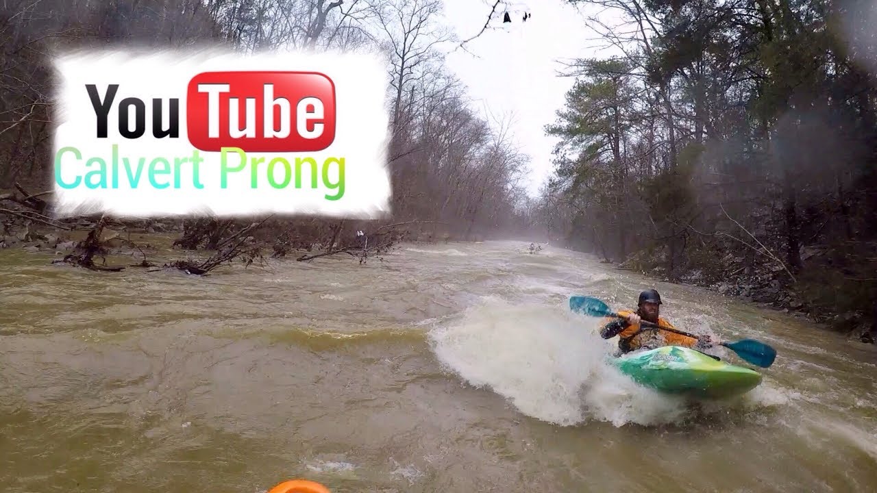 Kayaking Calvert Prong Creek from Cr 33 to Deavers Town Rd in Cleveland Alabama YouTube