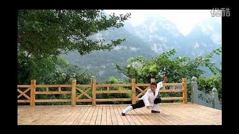 Wudang Nei dan Gong (nei gong)