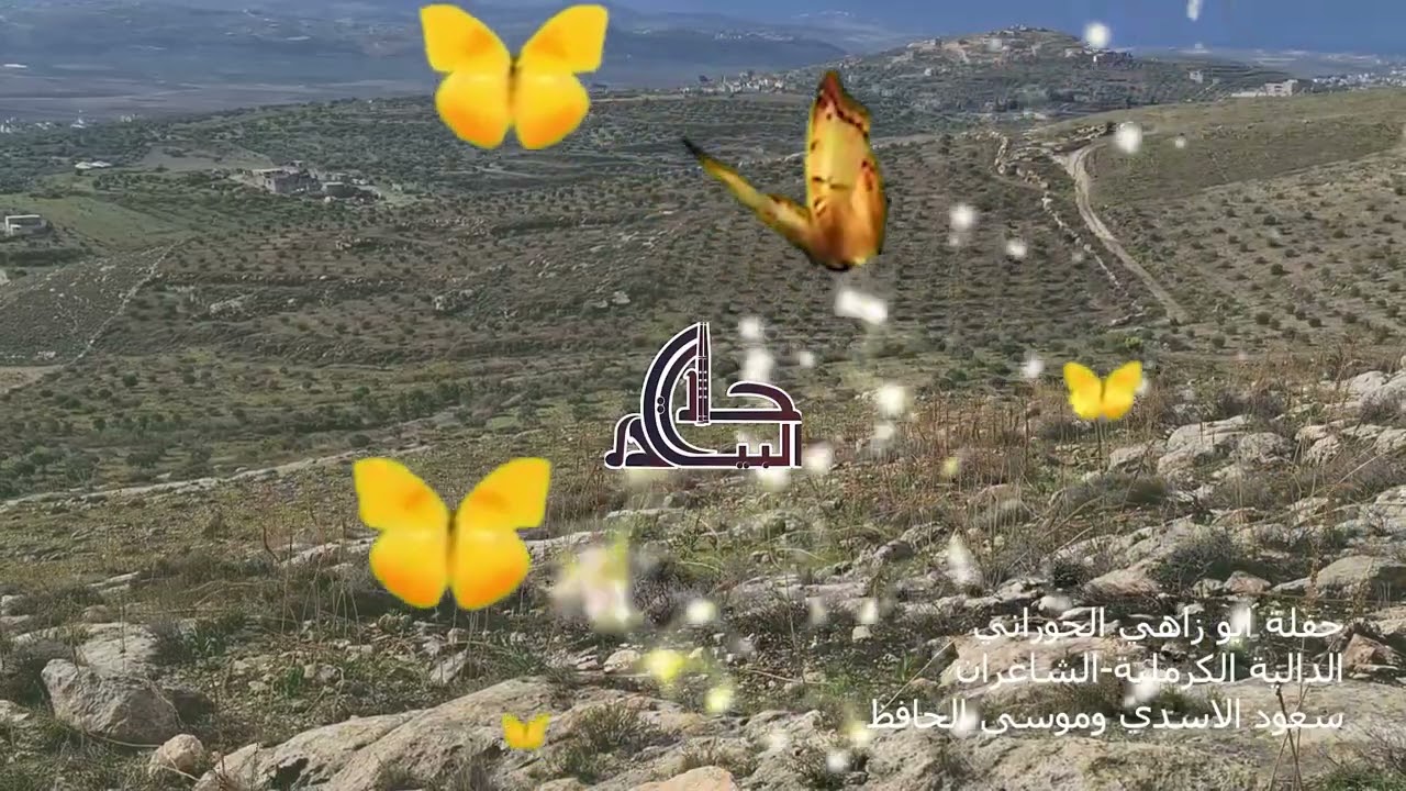 حفلة الدالية ابوزاهي  الحوراني الدالية موسى الحافظ وسعود الاسدي 2