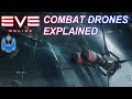 Eve Online's Combat Drones Explained!