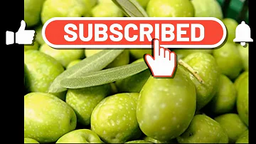 Quels sont les bienfaits de l'olive ?