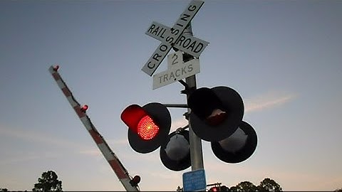 CSX Intermodal Train From Different Points Of View