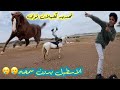 المربط بدون سمحه وييين راحت ياترى الأمهار كانت بتسبب فينا حدث