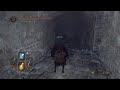 Уроки мгновенного лечения в бою. Dark Souls 2 #45