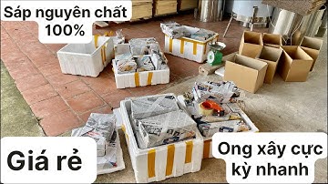 Chân tầng ong nội địa 33 x 19 làm bằng sáp nguyên chất 100% ong xây nhanh,phát triển mạnh 0368095989
