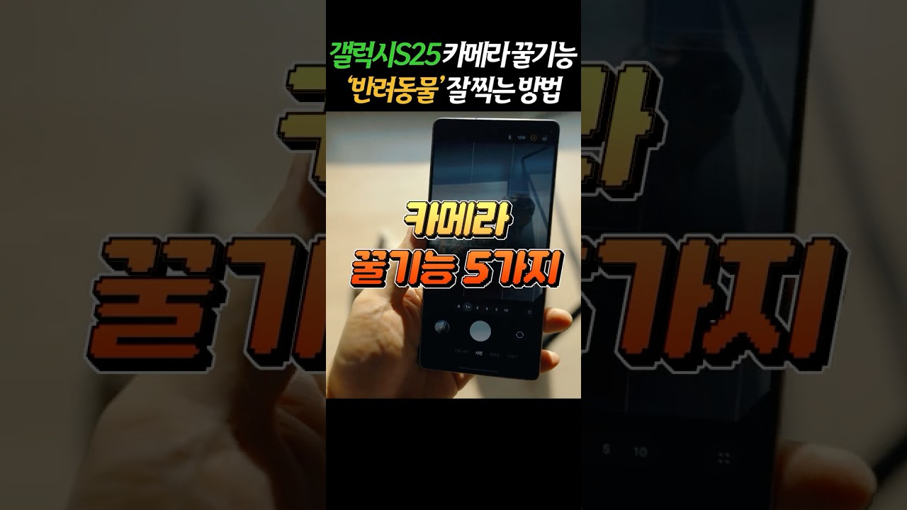 갤럭시S25 카메라 필수 초기설정 및 꿀기능 5가지!! 고양이 집사라면 이렇게 찍어보세요
