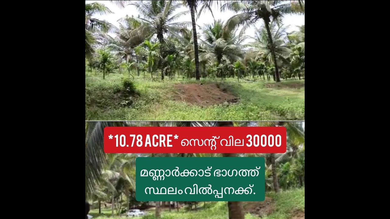മണ്ണാർക്കാട് ഭാഗത്ത്‌ സ്ഥലം വിൽപ്പനക്ക് Land for sale in Mannarkkad