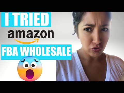 I Started An Aged Amazon Wholesale FBA Store Here's What Happened...