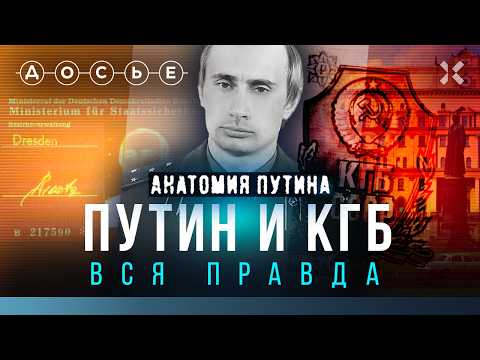 YouTube видео