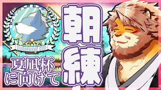 【マリオカート８DX】夏凪杯に向けて朝練 当日枠【VTuber｜花鎧照虎】