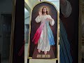Divine Mercy Praise Prayer ✨ Jesus I Trust In You 🙏🔥 #catholicprayer #viralvideo #fyp