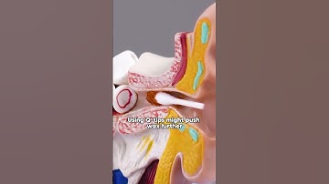 The last one will drop your jaw.#science #scienceexperiment