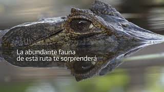 Argentina Ruta Natural: Ruta Del Iberá