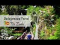 Badagamuwa Forest - Sri Lanka | Sri Lanka Tours