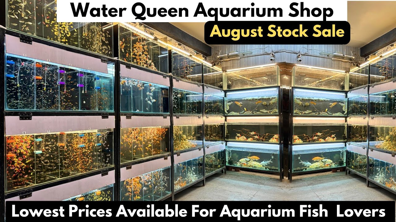 Tetra 29 Gallon Glass LED Aquarium Kit