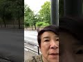 ライブ ハイライト
