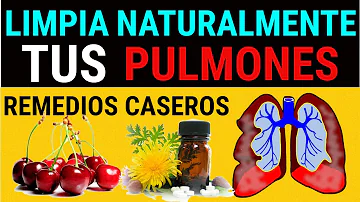 ¿Qué es un antibiótico natural para los pulmones?