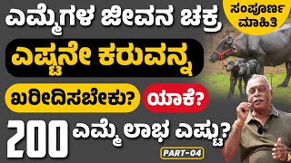 Profitable Buffalo Farming In Kannada |Murrah Buffalo Farming Complete Details|ಮುರ್ರಾ ಎಮ್ಮೆ ಸಾಕಾಣಿಕೆ