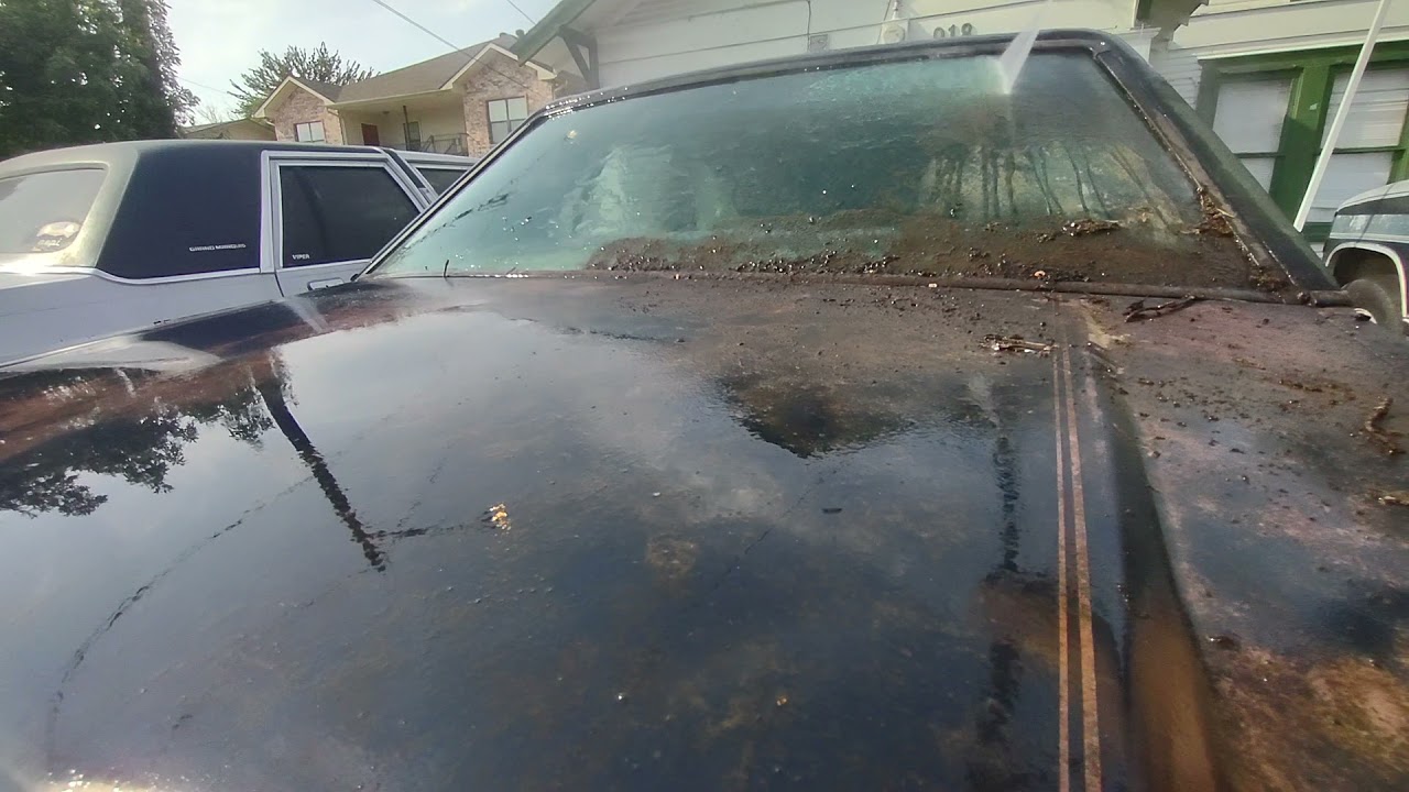 1985 Ford LTD sitting 18 years