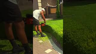 Skill Tingkat Dewa Memangkas Rumput Hias Dengan Hasil Yang Sangat Rapih