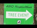 Albuquerque program helps plant 100 trees