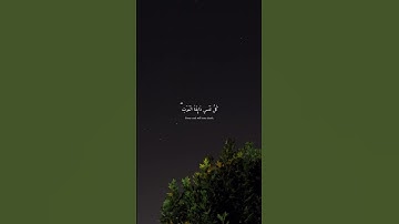 تلاوة مؤثرة تعزز الإيمان وتجدد الروح.