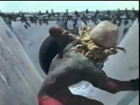 SKATEBOARD MADNESS 1980 Claymation