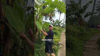 Obat Lambung....🤣🙏
