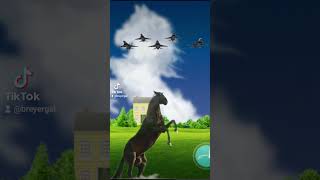 US Airforce F-16 Salutes Stallion short