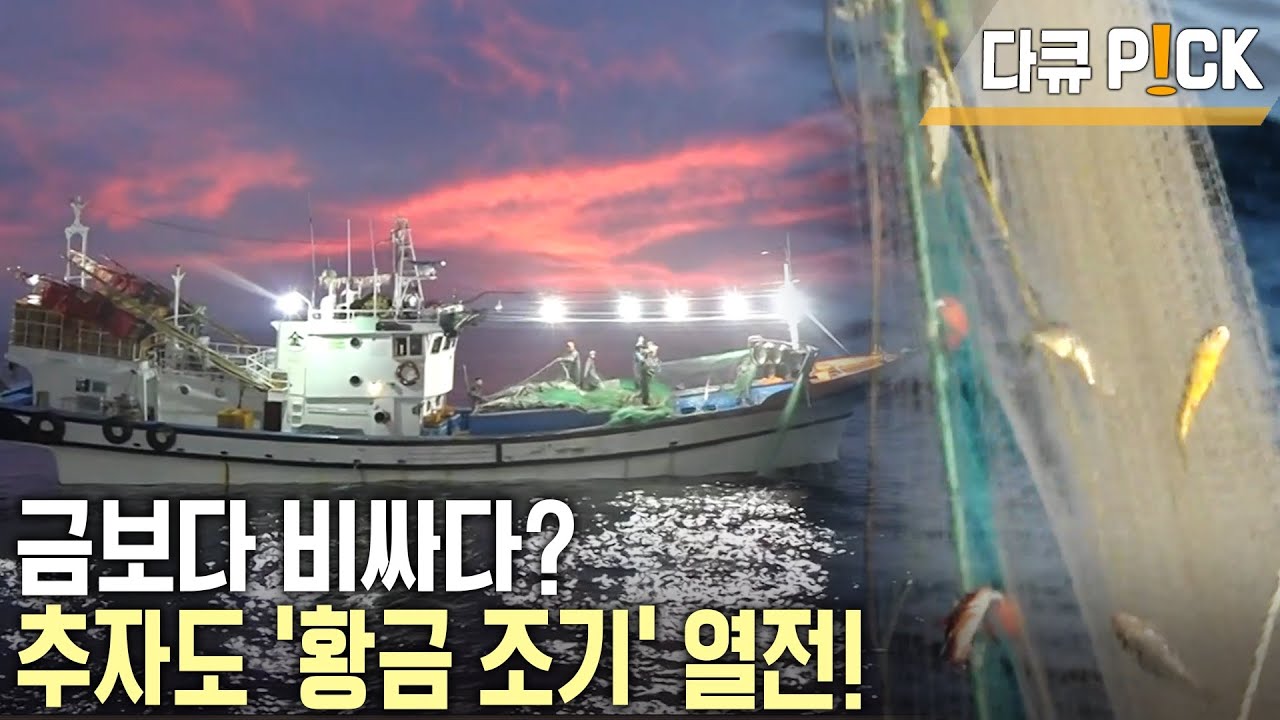 1년에 절반은 집이 아닌 바다에 산다! 베태랑 선장과 초보 선장 2인의 추자도 조기잡이 열전! (KBS 20161022 방송)