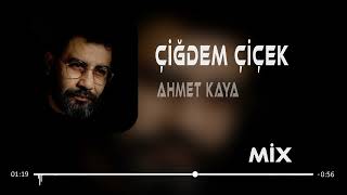 Ahmet Kaya - Akşam Olur Ay Gecede Çiğdem Çiçek Şenlenir Remix 2023