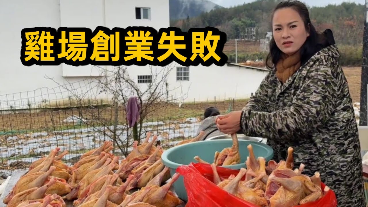 小木雞場創業失敗，2年整整虧了20多萬，沒想到老爸和小鳳都支持不搞了 #乡村生活 #农村生活 #三农
