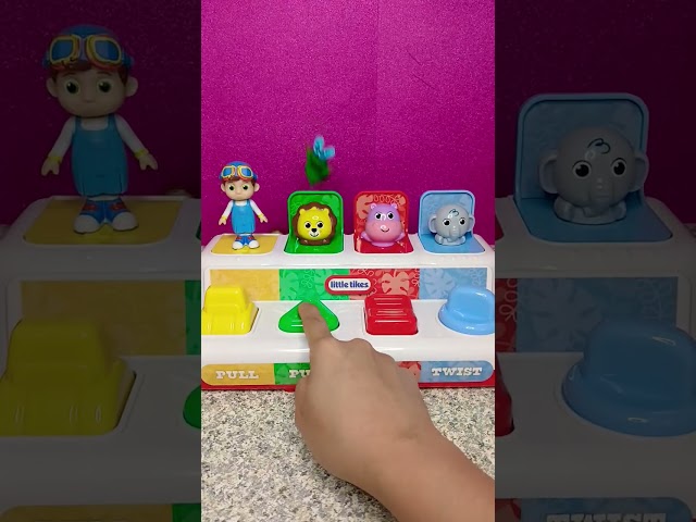 super cute cocomelon mini family