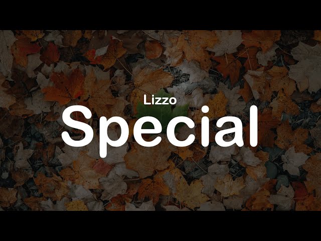 Lizzo - Special (Clean)