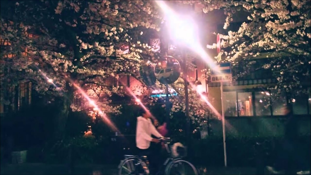 99 ANN 884　そんな危険な橋渡ってまでアメリカまで呼んで「そんなひととは思ってませんでした」とか。