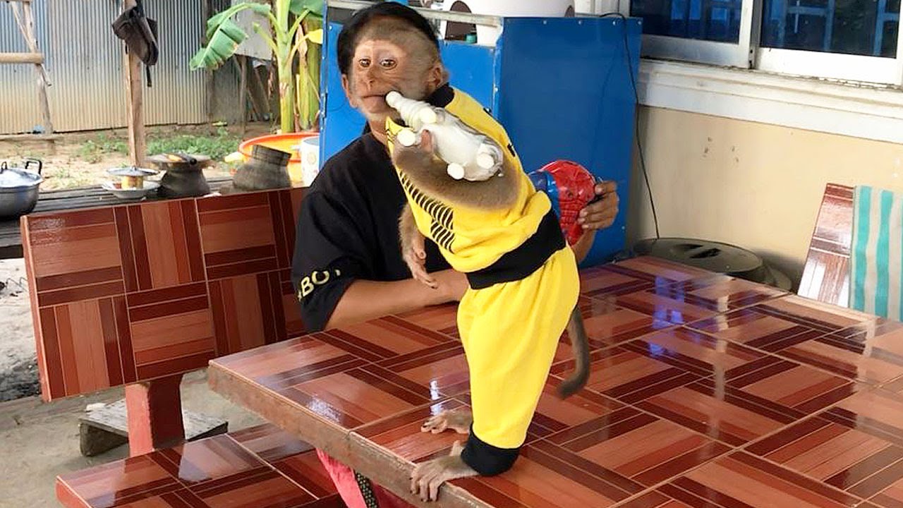 Smart Jason Lovely Posture Seeking To Flirt With Neighbor