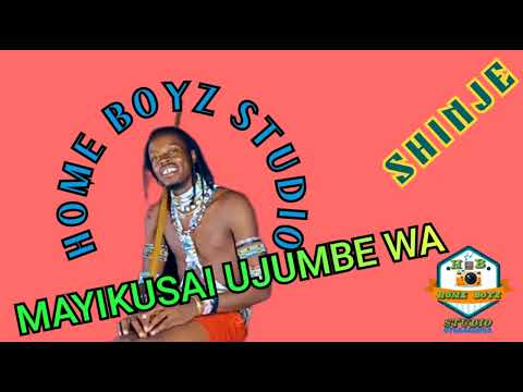 MAYIKUSAI UJUMBE WA SHINJE BY PETER MWAMBA 0784014287