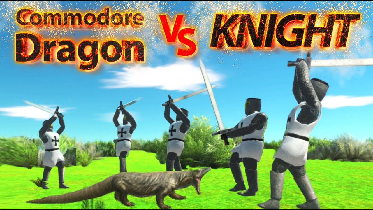 Commodore Dragon VS Knight ! ARBS - YouTube