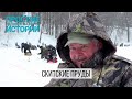 Winter Fishing Festival. Фестиваль зимней рыбалки Мормышка в парке Скитские пруды